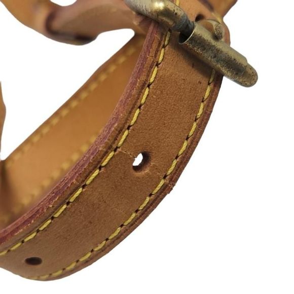 Louis Vuitton Monogram Viva Cite PM Shoulder Bag - Picture 12 of 13